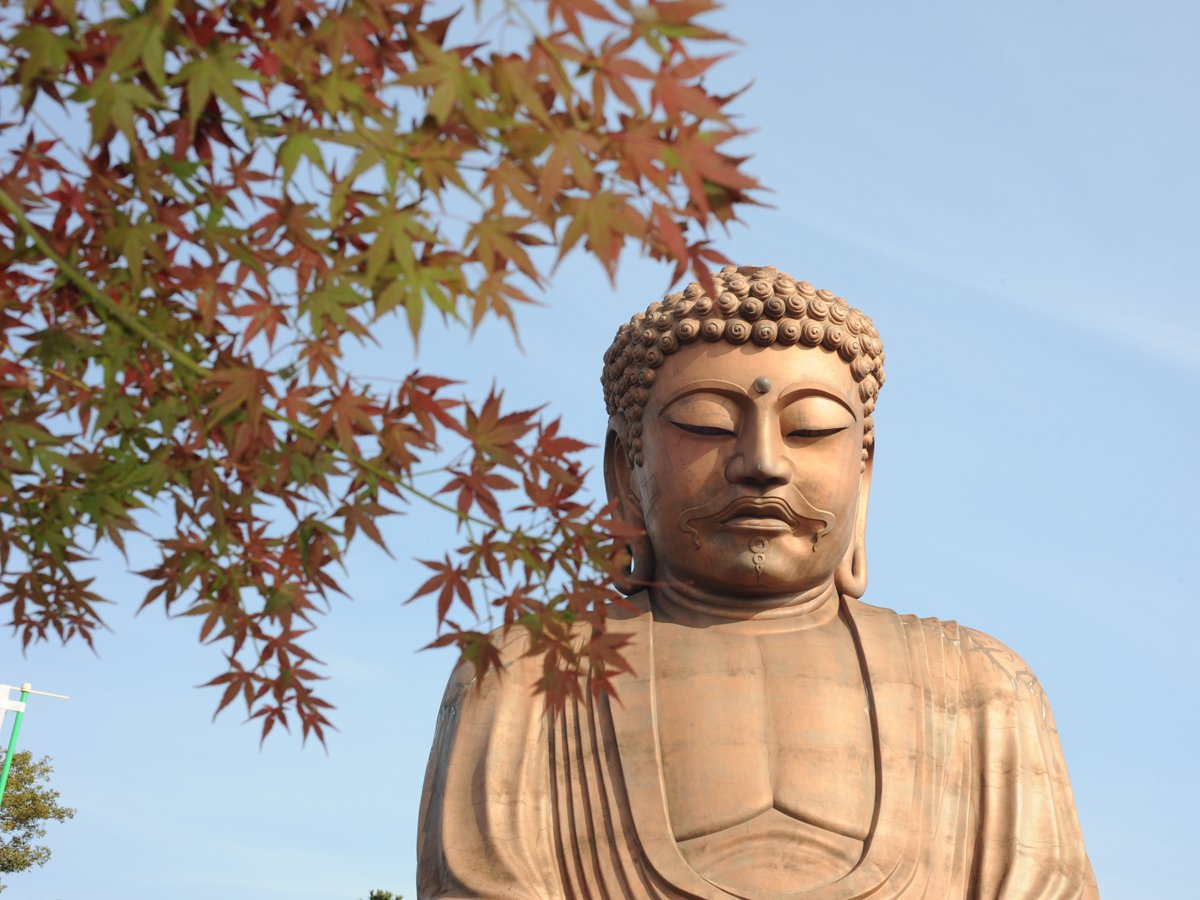 🌳 슈라쿠엔 공원(슈라쿠엔 코엔) 이미지 5